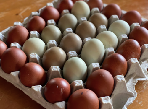 A carton filled with various colored eggs, including brown, tan, and light green, arranged neatly in rows.