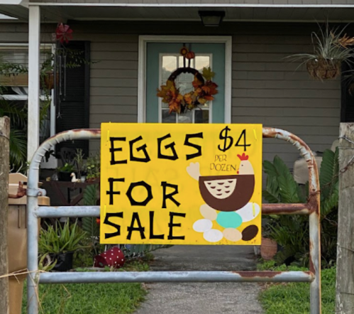 A bright yellow sign on a gate reads "EGGS FOR SALE $4 PER DOZEN," featuring a cartoon chick.