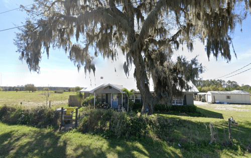 A quaint house with a metal roof, shaded by a large tree draped in Spanish moss, set in a grassy landscape.