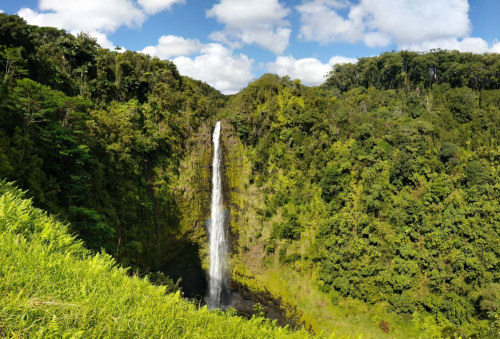 A tall waterfall cascades down a lush green cliff, surrounded by dense forest under a bright blue sky.
