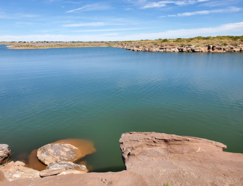 A calm body of water surrounded by rocky shores and grassy land under a clear blue sky.