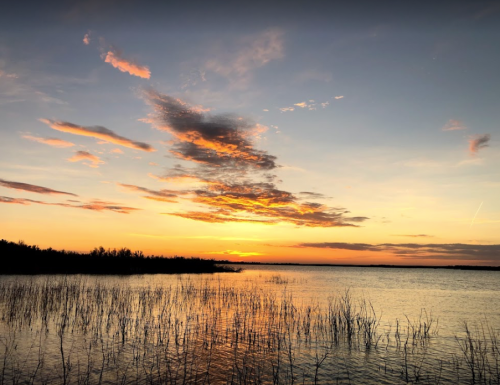 Sunset over a calm lake, with colorful clouds reflecting on the water and silhouettes of tall grasses in the foreground.