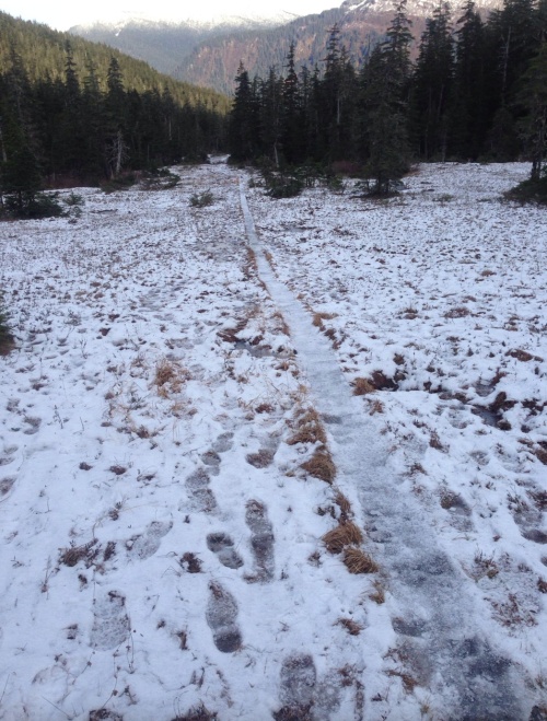 A snowy path through a forested area, with footprints leading into the distance and mountains in the background.