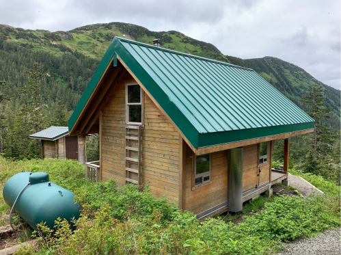 A wooden cabin with a green metal roof, surrounded by lush greenery and mountains in the background.