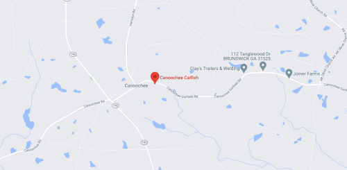 Map showing the location of Canoochee Catfish in Canoochee, Georgia, near roads and water bodies.