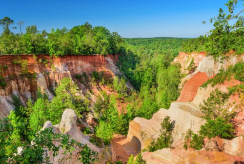 A vibrant landscape of red and white clay hills surrounded by lush green trees under a clear blue sky.
