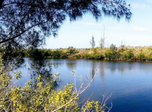 A serene river scene surrounded by lush greenery and trees under a clear blue sky.