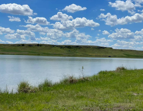 A serene lake surrounded by green grass and hills under a blue sky with fluffy white clouds.