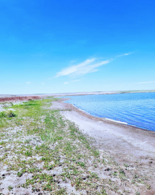 A serene landscape featuring a sandy shore beside a calm blue lake under a clear sky.