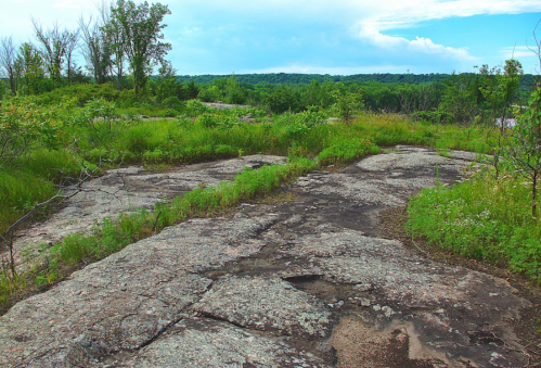 A rocky landscape with patches of grass and trees under a blue sky, showcasing a natural, serene environment.