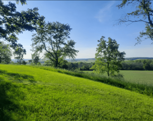 A lush green hillside with trees under a clear blue sky, overlooking a distant landscape.