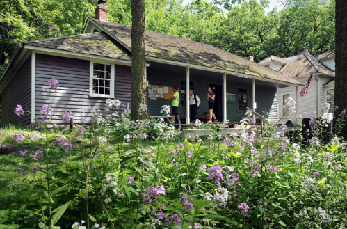 A quaint house surrounded by blooming flowers, with people walking on the porch in a lush green setting.