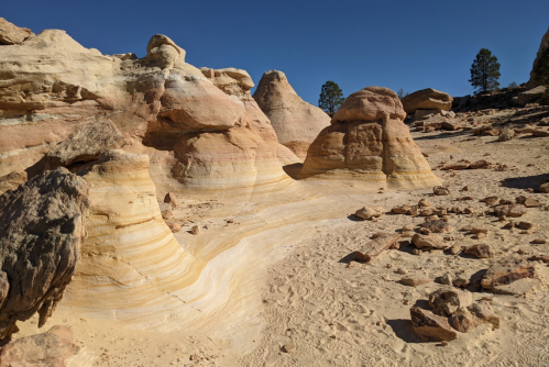 A desert landscape featuring unique rock formations and layered sandstone under a clear blue sky.