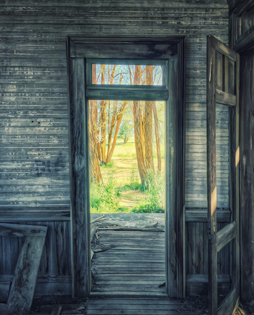 An open door reveals a view of trees and greenery outside an old, weathered interior.