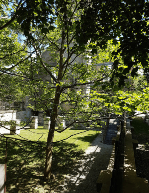 A view of a lush garden with a tree and stone building partially visible through the greenery.