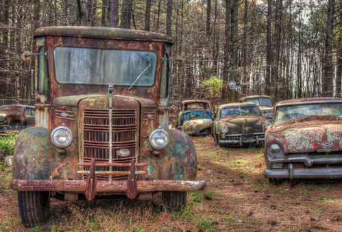 A collection of vintage, rusted cars in a wooded area, surrounded by overgrown grass and trees.