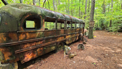 An old, rusted bus covered in moss, surrounded by trees and forest floor, with a sign nearby.