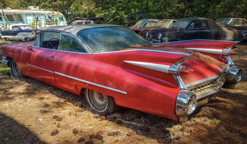 A vintage red Cadillac with distinctive tail fins, parked in a grassy area among other old cars.