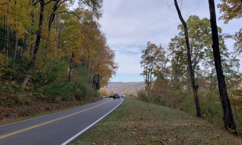 A winding road lined with trees displaying autumn colors, leading to distant mountains under a cloudy sky.