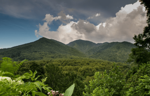 Lush green mountains under a cloudy sky, with trees in the foreground and a serene, natural landscape.