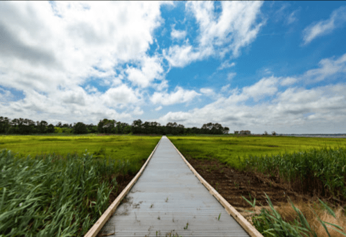 A wooden boardwalk leads through lush green fields under a bright blue sky with scattered clouds.