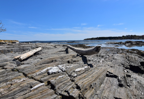 Rocky shoreline with a clear blue sky and distant land, featuring weathered logs and textured stone formations.