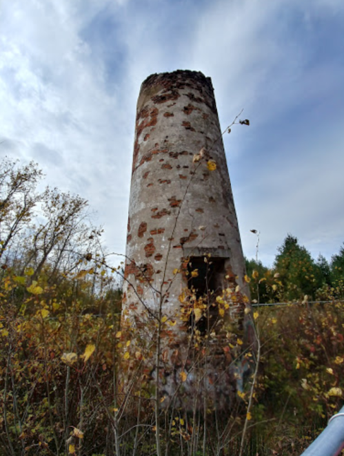 A weathered stone tower surrounded by overgrown vegetation and trees under a cloudy sky.