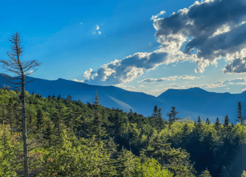 A scenic view of mountains and lush green trees under a blue sky with fluffy clouds.