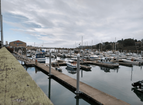 A marina filled with boats, reflecting clouds and a gray sky, with a wooden pier in the foreground.
