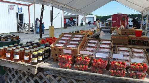 A market stall displays jars of honey, cartons of strawberries, and fresh produce under a large tent.