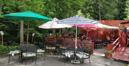 Outdoor dining area with tables and colorful umbrellas surrounded by greenery and flower planters.