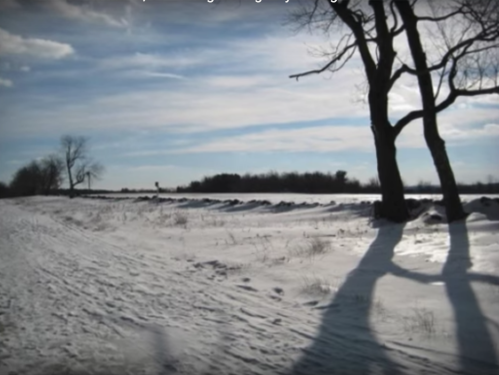 A snowy landscape with bare trees casting long shadows under a cloudy sky.