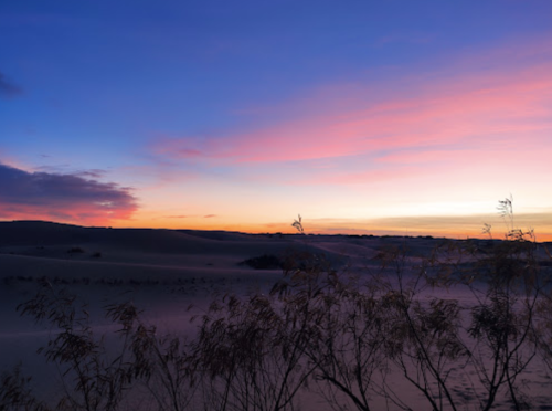 A serene desert landscape at sunset, with soft pink and purple hues in the sky and silhouettes of sparse vegetation.