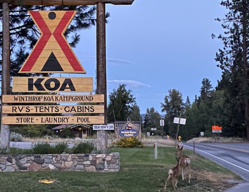 Sign for Winthrop KOA Campground with deer nearby, surrounded by trees and a road in the evening light.