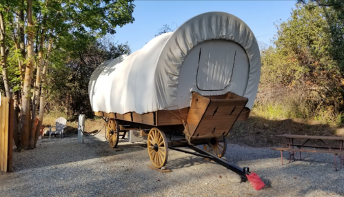 A covered wagon on wheels parked on gravel, surrounded by trees and a picnic area.