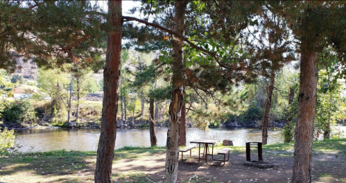A serene riverside scene with trees, a picnic table, and a calm water view.