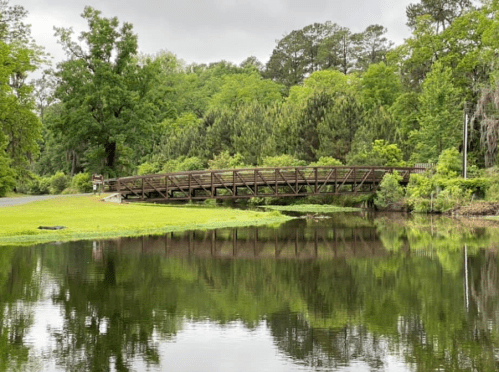 A wooden bridge spans a calm pond, surrounded by lush green trees and grass under a cloudy sky.