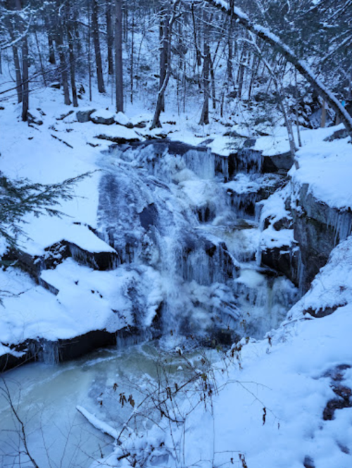 A snowy landscape featuring a cascading waterfall surrounded by ice-covered rocks and trees.
