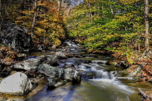 A serene stream flows through a forest with autumn foliage, featuring rocks and vibrant leaves in warm colors.