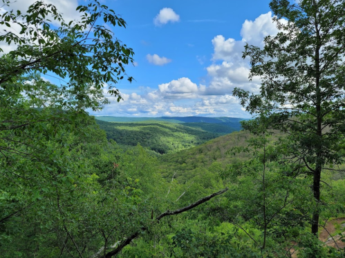 Lush green valley under a blue sky with fluffy clouds, framed by trees in the foreground.