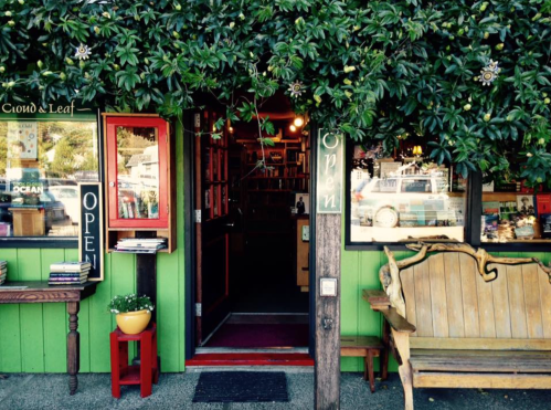 A cozy bookstore entrance with green walls, open signs, and a wooden bench under a leafy canopy.