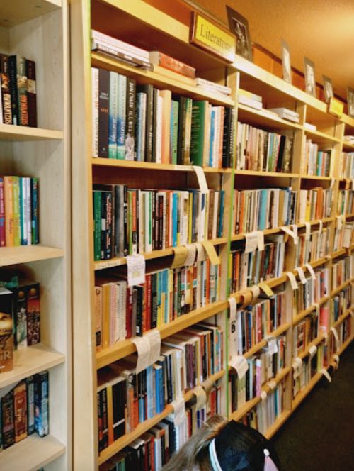 A wooden bookshelf filled with various books, labeled "Literature," in a cozy library setting.