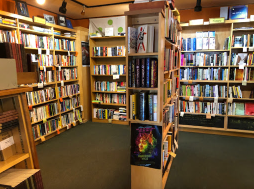 A cozy bookstore interior with wooden shelves filled with various books and a warm, inviting atmosphere.