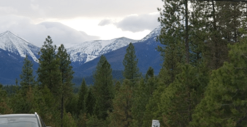 A scenic view of snow-capped mountains surrounded by dense evergreen trees under a cloudy sky.