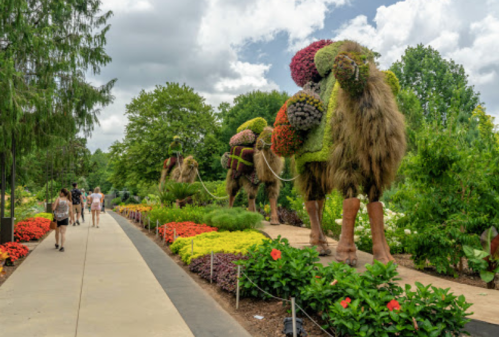 Three large, colorful topiary camels made of flowers and greenery, with a pathway and visitors in a lush garden setting.