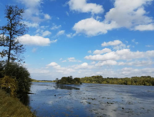A serene landscape featuring a calm lake, lush greenery, and a blue sky with fluffy clouds.