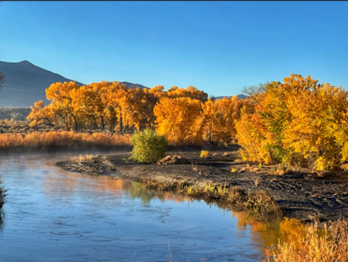 A serene river scene with vibrant autumn trees reflecting in the water under a clear blue sky.