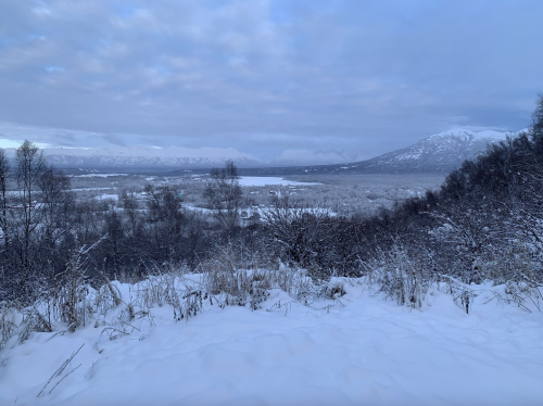 A snowy landscape with mountains in the distance under a cloudy sky, featuring sparse trees and a frozen river.