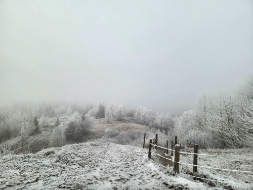 A foggy winter landscape with frosted trees and a wooden fence in the foreground.