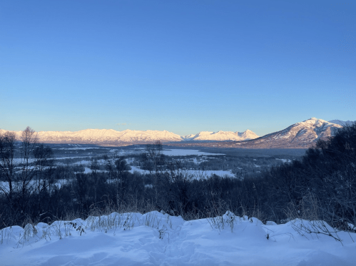 Snow-covered mountains under a clear blue sky, with a valley and trees in the foreground.